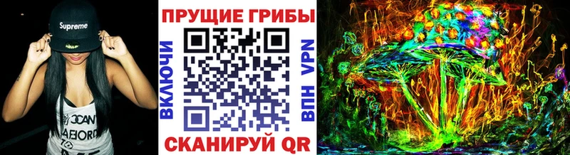 Галлюциногенные грибы Psilocybe  где купить наркотик  OMG как зайти  Куртамыш 